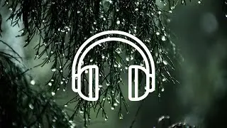 ASMR Tropical Rainforest Rain ⛈️ Heavy Rain & Exotic Bird Sounds for Deep Sleep