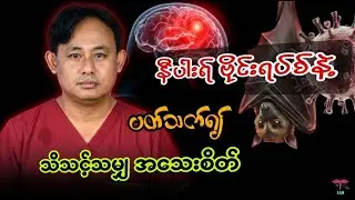 ကုသဆေးမရှိသေးတဲ့ 