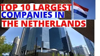 Топ-10 крупнейших компаний Нидерландов в 2020 году, о которых вы не знали. Крупнейшие голландские компании на сегодняшний день.