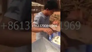 cassava flour/garri grinding machine, cassava grater and grinder for sale in Nigeria