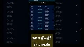 Copts $6111 Profit in 2 weeks / Ganancia   