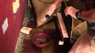 UV light in action