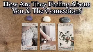 💙🌟 How Are They Feeling About You & The Connection? 🌟💙 Pick A Card Love Reading
