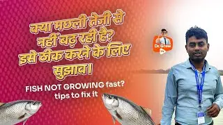 Fish Not Growing fast? 🛑 Tips to fix it.
