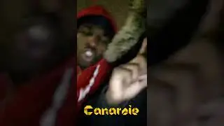 POP SMOKE Listening To 