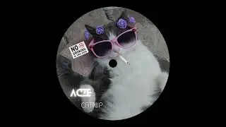 Acze  -  Catnip