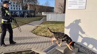 Der unterschätzte Motivationstrail 