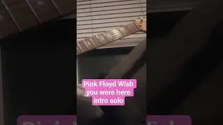 Pink Floyd's Wish you Were Here intro Solo of David Gilmour #pinkfloyd #davidgilmour