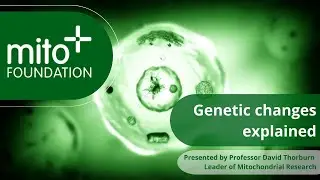Genetic changes explained