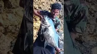 HARTA TAHTA BAHAYA Angler jember selatan GILA #shorts #short #shortvideo #mancing #rockfishing