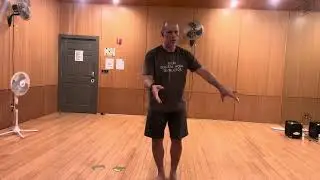 Yang Style Taichi - Needle Points to the Bottom of the Sea