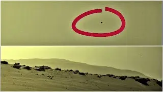 *The Martian Orb!* Mars Perseverance Rover Photo Slideshow UFO UAP OVNI Disclosure MUFON #shorts
