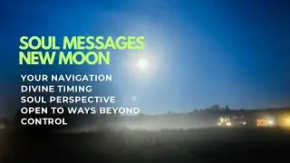 Soul Messages | your navigation, divine timing, soul perspective, ways beyond control |New Moon🌚 
