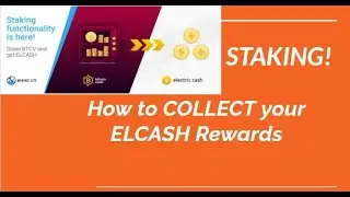 Mining City Staking Rewards! How to Collect ELCASH!