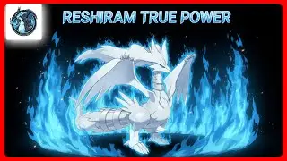 Why Reshiram Dominates at 8★  Pet Summon Guide