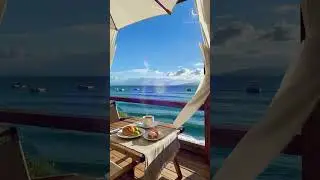 Beautiful Smooth Jazz 🎷 Caf&eacute; Chill Vibes #shorts(36)