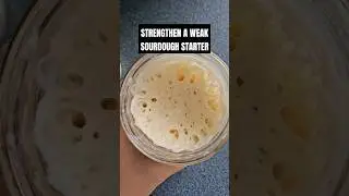 Strengthen a Weak Sourdough Starter #sourdoughstarter #shorts