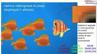 FI03. La Civilt&agrave; Digitale: immagini e video