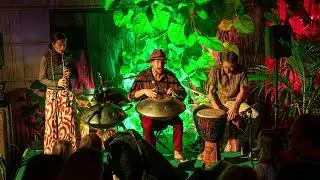 Ein Wald, der leise wächst | Klangwald-Cover - Handpan, Duett & Percussion