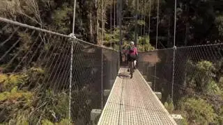 Timber Trail Lodge, Piropiro, Pureora Forest Park