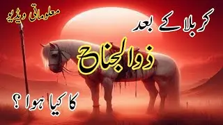 Zuljina ka Kiya huva | ذولجناح کدھر گئی ؟