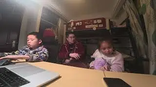 树木的知识1