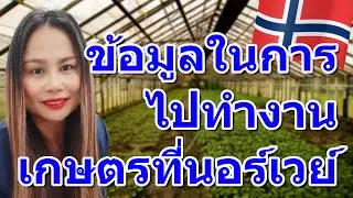 ข้อมูลประกอบการตัดสินใจในการไปทำงานการเกษตรที่นอร์เวย์