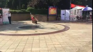 iCarbot, four wheel scooter, self balancing scooter, hoverboard show
