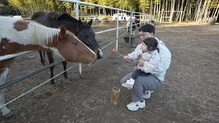 두돌 제주도여행
