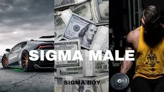 Sigma Male Grindset | Motivation | Sigma Boy | Sigma Rules Compilation