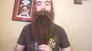Braiding my Beard