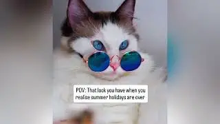 Pets Making Us Laugh 2025 | 😼🐶Try Not To Laugh😜