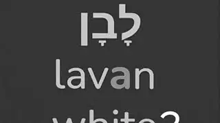 LAVAN (LITE.) NOT WHITE. UNVEILING MISINTERPRETATION OF BIBLICAL HISTORY. #USA #JEWISH Japheth #life