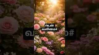 #உன்வலிமை#trending#viral#rarestudio5#ytshorts#tamilshorts#tamilmotivation#tamilquotes#tamilsayings
