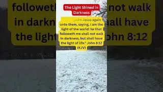 The Light Shined in Darkness | John 8:12 | Songs of Christ