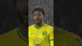 This Cat Saved the Goal in a Snowstorm 😱❄️🐱 | Кіт врятував ворота у заметіль!