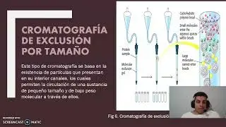 Cromatografia planar y de columna - DFVL