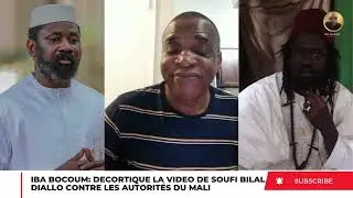 IBA BOCOUM DECORTIQUE LA VIDEO DE SOUFI BILAL DIALLO CONTRE LES AUTORITÉS DU MALI !