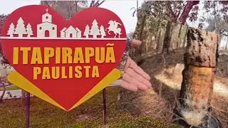 AQUI É EXTRAÍDO MILHARES DE TONELADAS DE RESINA DE PINUS NO ANO: ITAPIRAPUÃ PAULISTA
