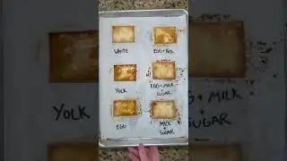 There's More Than One Way to Egg Wash a Pie