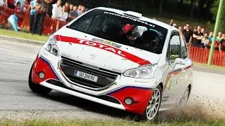 Rok Turk - Enej Ložnar (Peugeot 208 R2) : 28. AMTK rally Velenje 2013 - SS7 - TRC Jezero