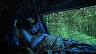 Eliminar a insónia instantaneamente com o som da chuva sem Trovão - ASMR White Noise 10 horas
