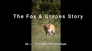 The Fox and Grapes Story || Kids Short Story || #facts #learningstories #cartoon #kidslearning