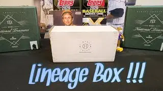 The Big Fly Box. Modern Baseball Subscription Box!!!