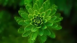 Meditation - music & songs | soft music | calm music