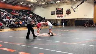 Pin vs Holly