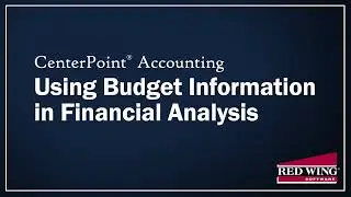 Using Budget Information in Financial Analysis