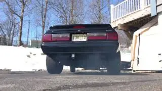 1988 mustang E303 cam cold start