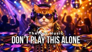 Late-Night Disco Jazz Party 🪩🎶 | DJ Cat Groove Session