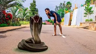 THE SNAKE GIRL | 2026 Movies | Umukobwa mwiza wihindura INZOKA Mumugi akoze amabara